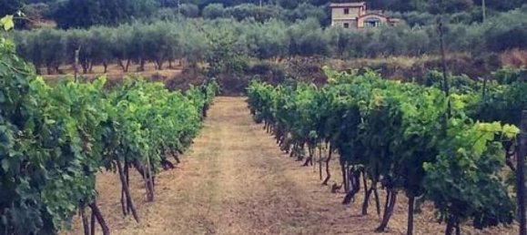 16-Zimmer Haus in Sinalunga, Italy, Nr. 58013 28