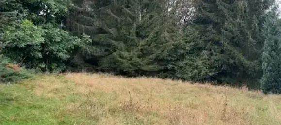 5 rooms House in Vogtlandkreis, Germany No. 79169 8