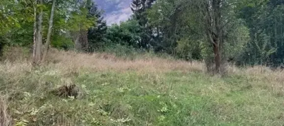 5 rooms House in Vogtlandkreis, Germany No. 79169 7