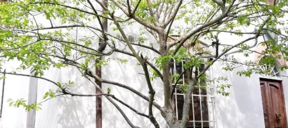 6 rooms House in Lucca, Italy No. 171191 27