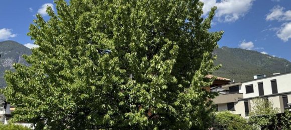 Terreno en Zirl, Austria No. 163048 10