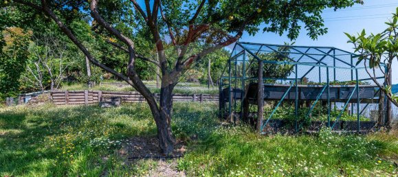 3 bedrooms House in Celorico de Basto, Portugal No. 180929 28