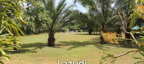  Commercial property in Pattaya, Thailand No. 16224 2