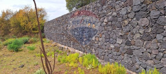 42000m² Land in Mascalucia, Italy No. 165156 18