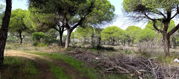 Terreno en Almancil, Portugal 322 m² No. 128238 8