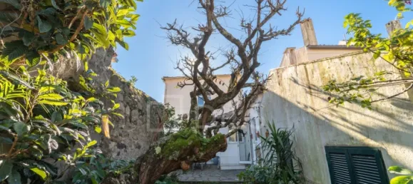 3 bedrooms House in Porto, Portugal No. 104473 36