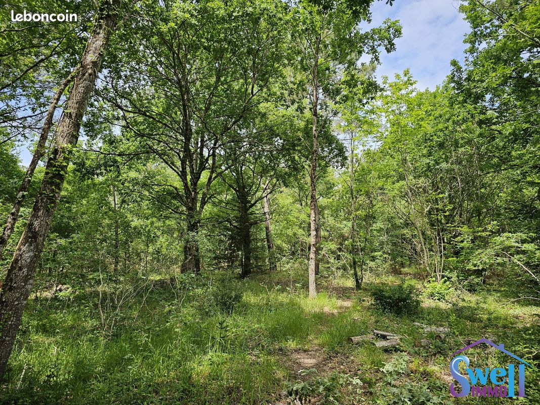 1502m² Land in Mezos, France No. 119221