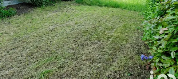 7 bedrooms House in Sainte-Genevieve-des-Bois, France No. 323579 7