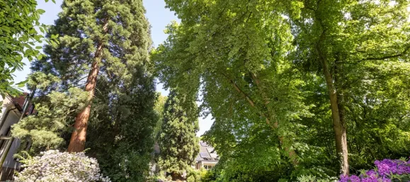 6 bedrooms House in Krefeld, Germany No. 338164 17