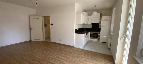 Studio in Modling, Austria No. 257142 3