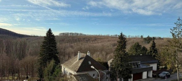 5-salle Maison à Klosterneuburg, Austria No. 256651 12