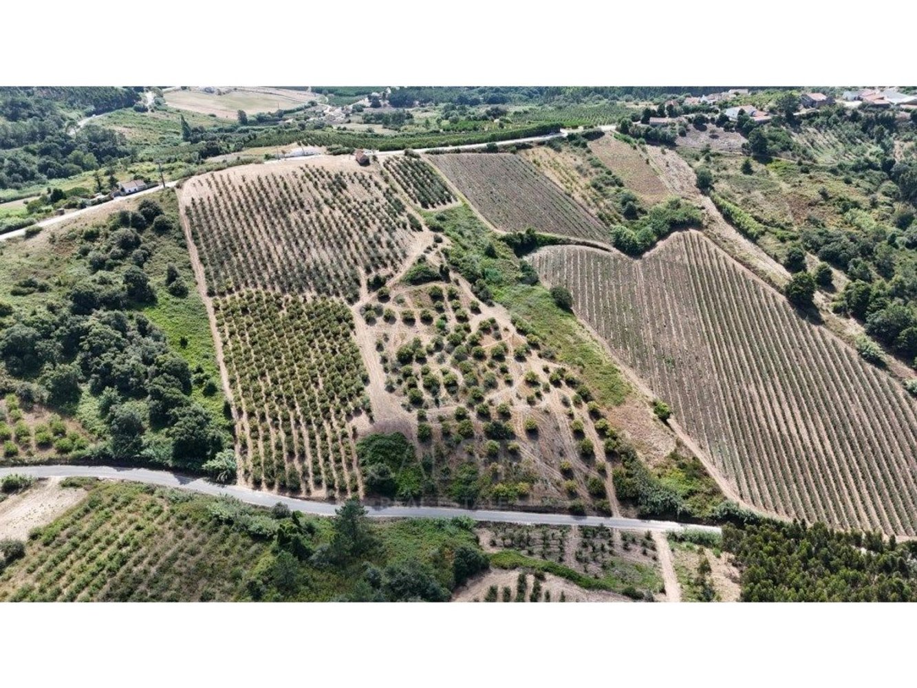 Terreno en Caldas da Rainha, Portugal No. 276808