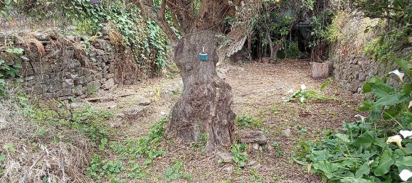 Casa T9 em Crato, Portugal N.º 24064 27