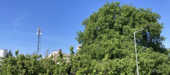  Land in Oberwart, Austria No. 162751 5