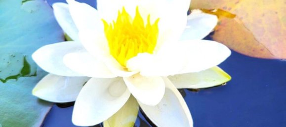 8 rooms Townhouse in Enzkreis, Germany No. 354497 15