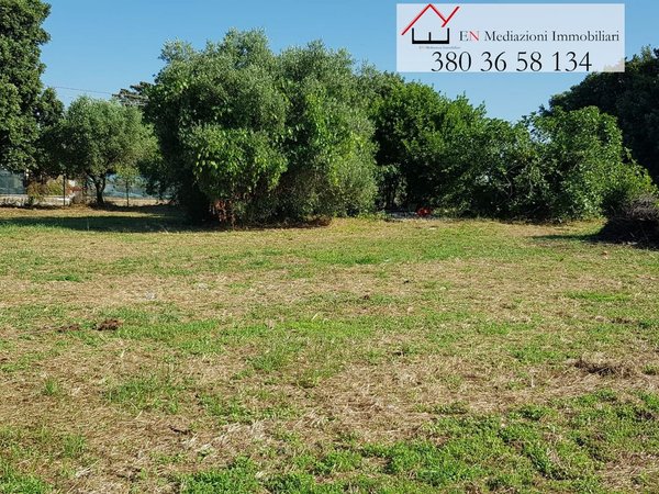 Terrain à Nettuno, Italy No. 209341