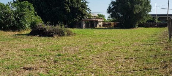 Terrain à Nettuno, Italy No. 209341 6