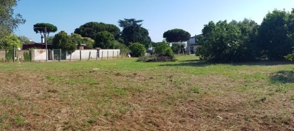 Terrain à Nettuno, Italy No. 209341 2
