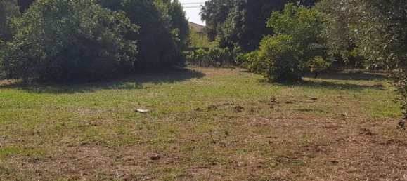 Terrain à Nettuno, Italy No. 209341 13