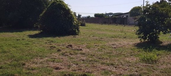 Terrain à Nettuno, Italy No. 209341 9