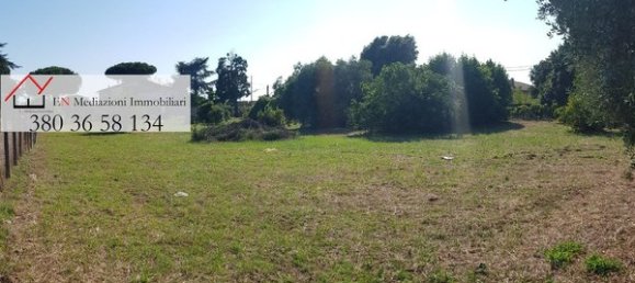 Terrain à Nettuno, Italy No. 209341 17