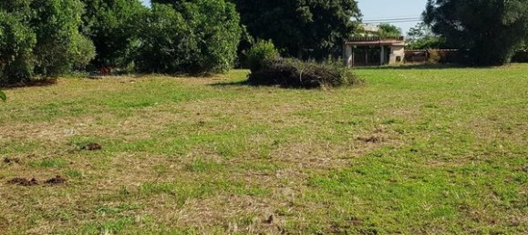 Terrain à Nettuno, Italy No. 209341 5