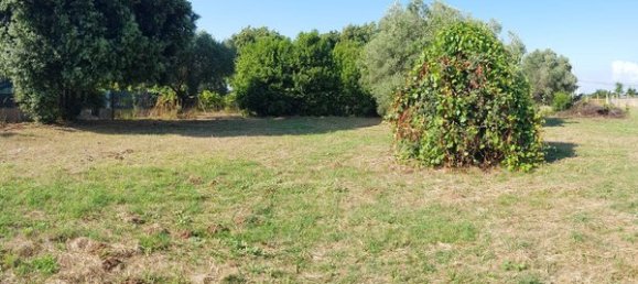 Terrain à Nettuno, Italy No. 209341 12