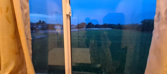 3 bedrooms Cafe / restaurant in Pattaya, Thailand No. 3650 7