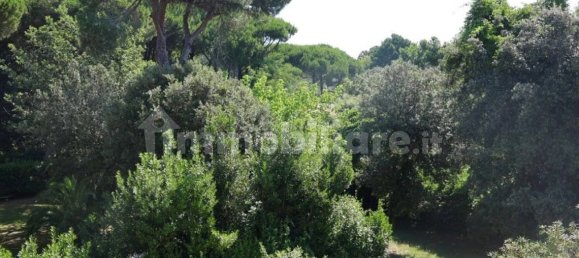 4 Schlafzimmer Villa in Massa, Italy, Nr. 349460 20