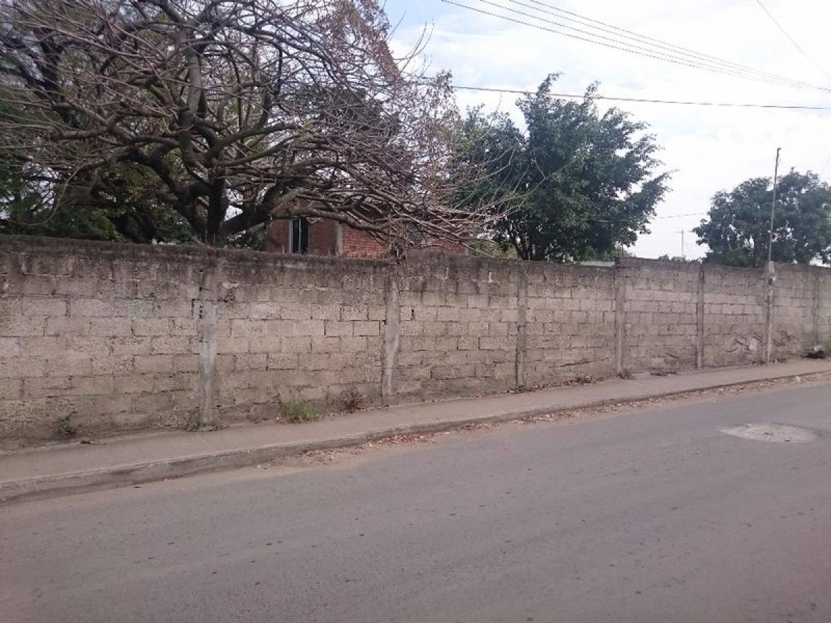 Земельный участок в Веракрус, Мексика № 205736