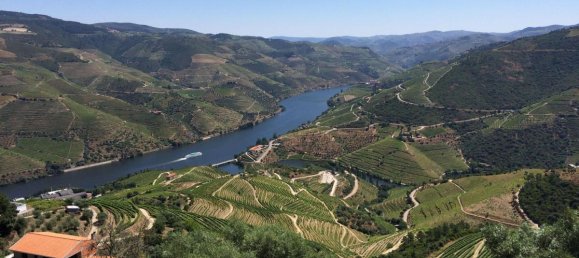 585m² Land in Armamar, Portugal No. 6548 3