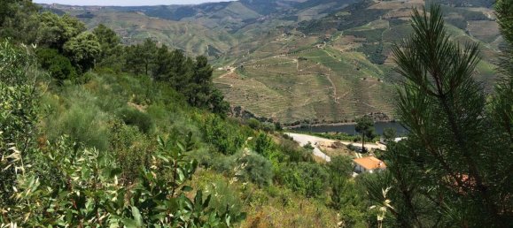 585m² Land in Armamar, Portugal No. 6548 2