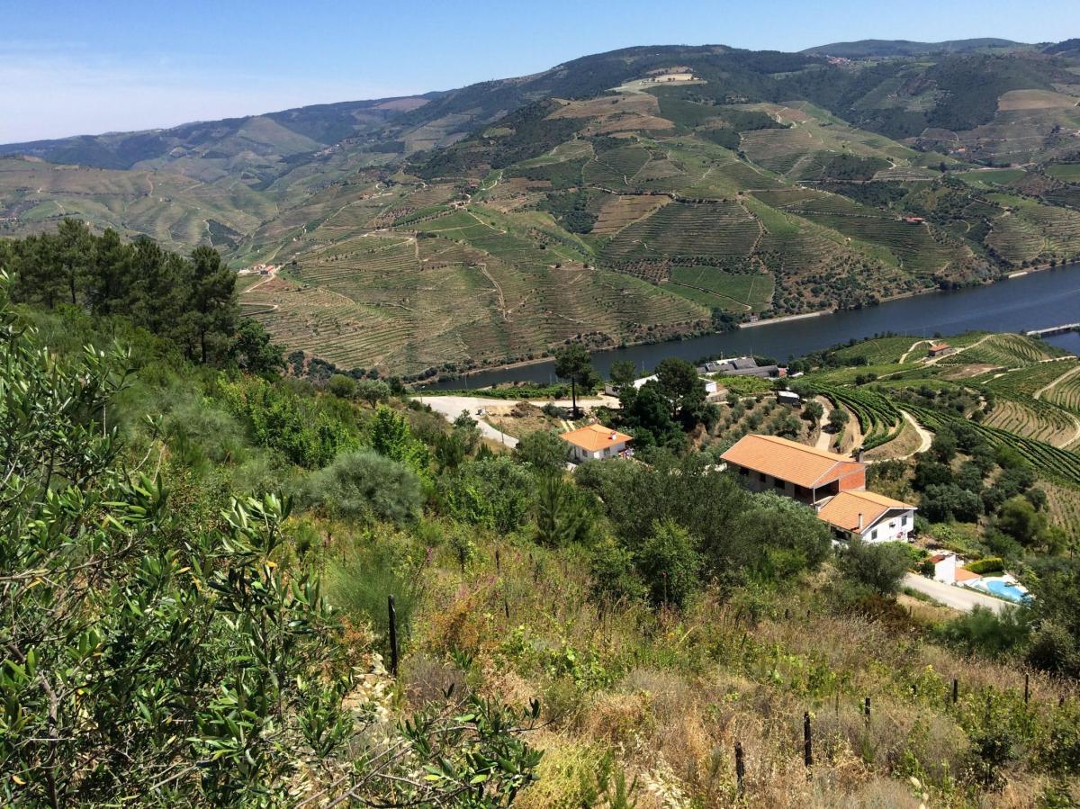 585m² Land in Armamar, Portugal No. 6548