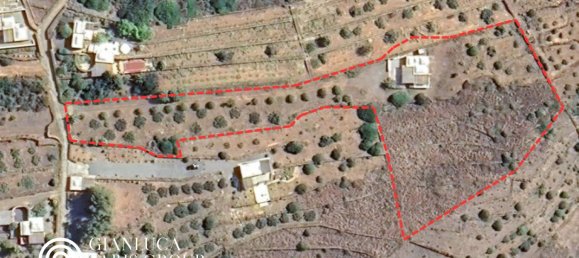 3غرفة منزل في Pantelleria, Italy رقم 296620 15