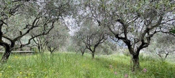 10 chambres Villa à Ventimiglia, Italy No. 312426 15