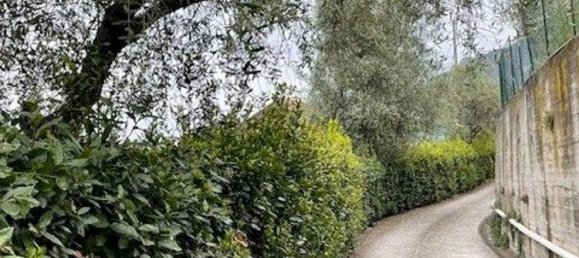 10 chambres Villa à Ventimiglia, Italy No. 312426 12