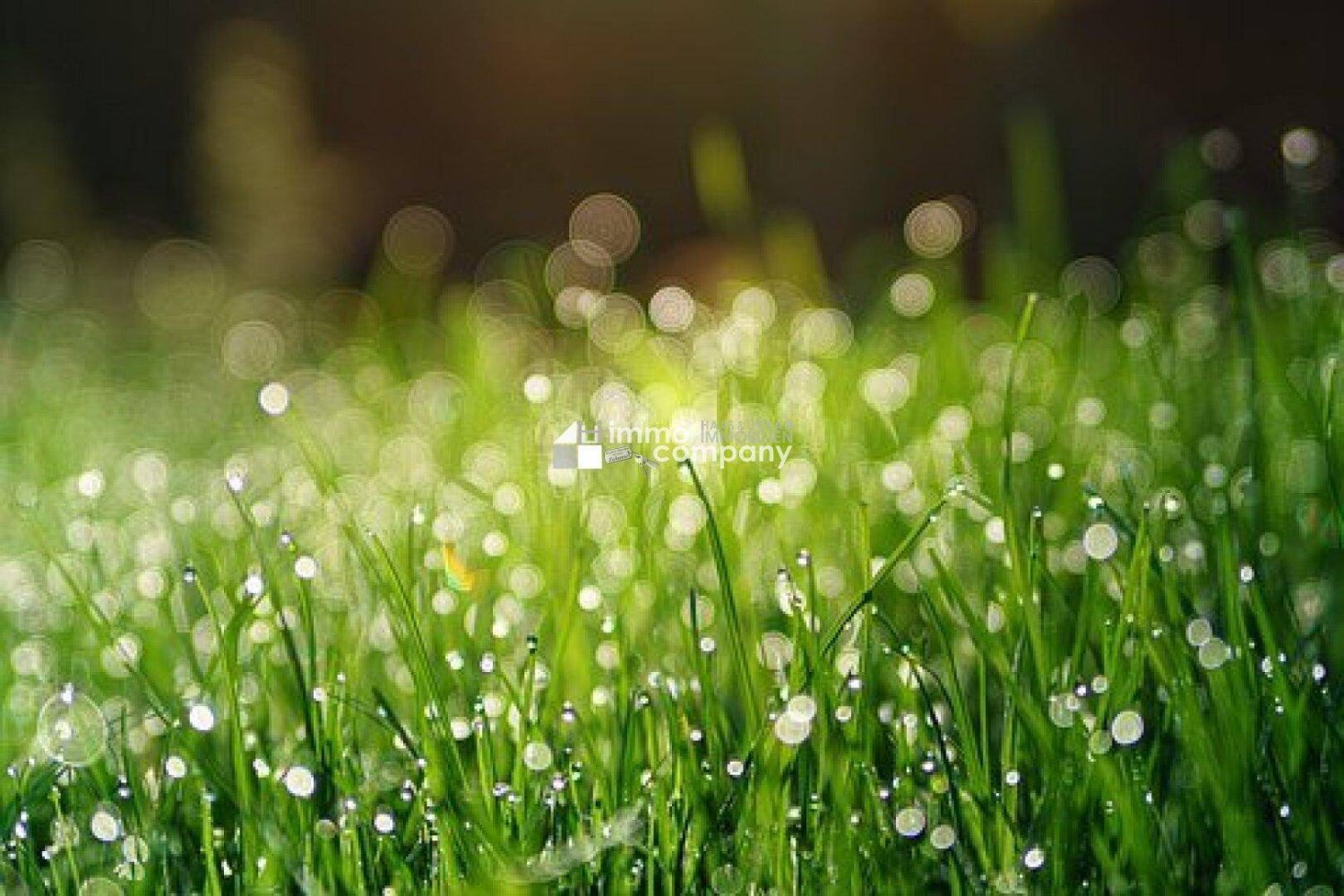 Terreno en Zillingdorf, Austria 525 m² No. 217618