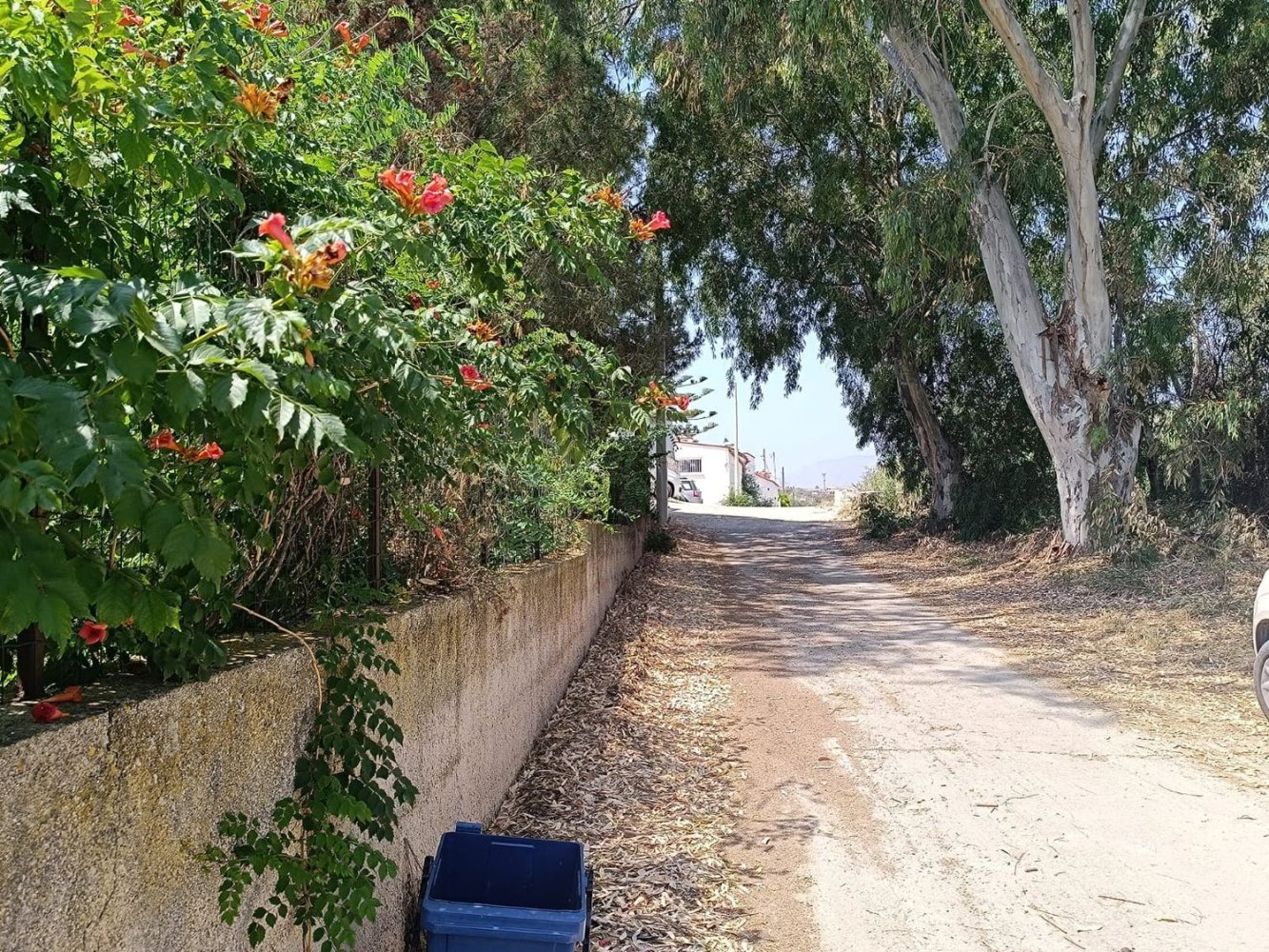 8 rooms House in Balestrate, Italy No. 265762