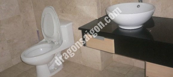 Haus in Thu Duc, Vietnam 300m², Nr. 10820 15