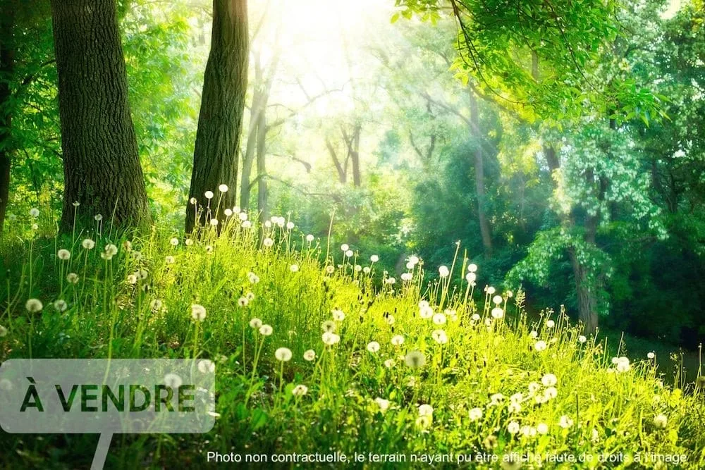 436m² Land in Commequiers, France No. 318410
