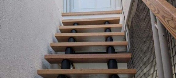 4غرفة منزل ذو طابقين في Marchtrenk, Austria رقم 252838 17