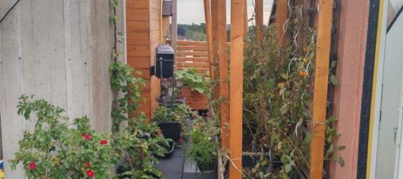 4غرفة منزل ذو طابقين في Marchtrenk, Austria رقم 252838 22