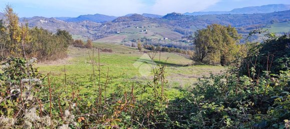 5-salle Maison à Avolasca, Italy No. 238313 33