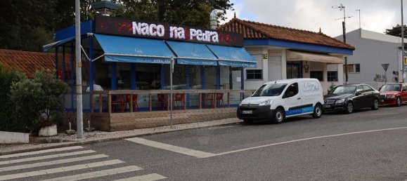 131m² Commercial property in Sintra, Portugal No. 80201 5