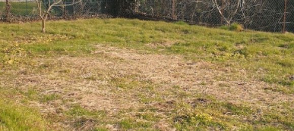 8غرفة فيلا في Roasio, Italy رقم 174286 3