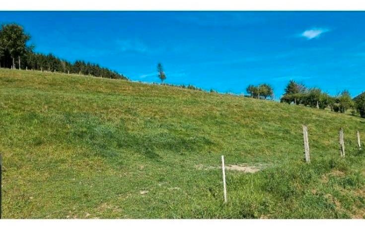  Land in Hochsauerlandkreis, Germany No. 232301