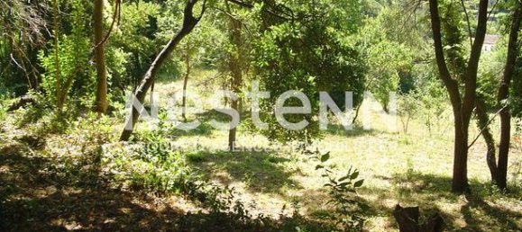 2384m² Land in Bargemon, France No. 310617 4