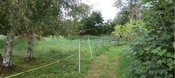 6930m² Cafe / restaurant in Dithmarschen, Germany No. 271096 20