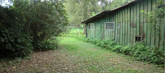 6930m² Cafe / restaurant in Dithmarschen, Germany No. 271096 18