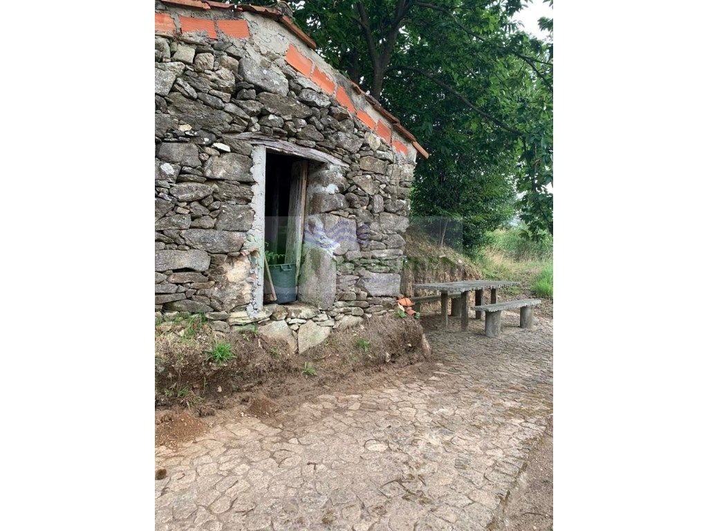 17500m² Land in Sever do Vouga, Portugal No. 256658